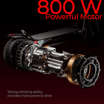 iScooter iX4 Off-Road Electric Scooter with App Control