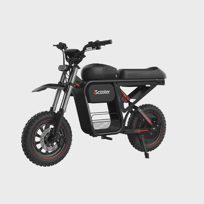 iScooter DX5Max Electric Bike